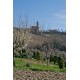 COUNTRY HOUSE WITH LAND FOR SALE IN LE MARCHE Farmhouse to restore with panoramic view in Italy in Le Marche_30